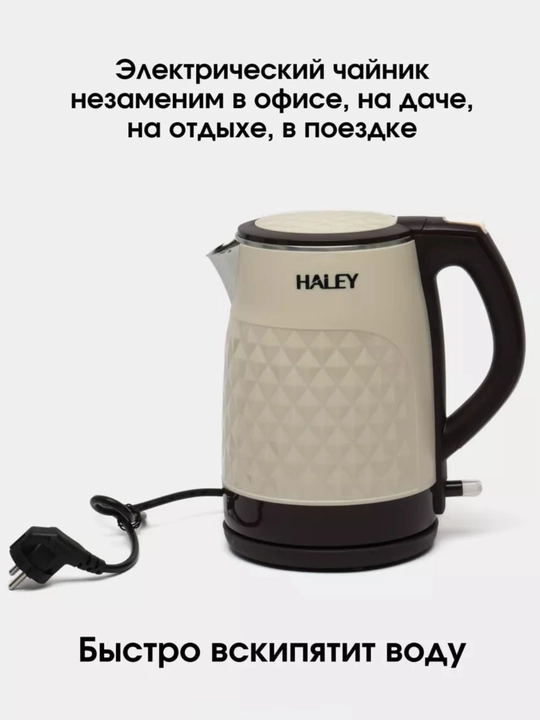 Elektr choynak