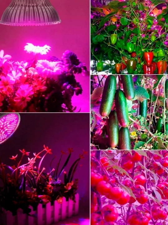 To'liq spektrli fitolamp, ultrabinafsha. 78LED, 50Vt, SMD 5730, Red+Blue+White+UV+IR