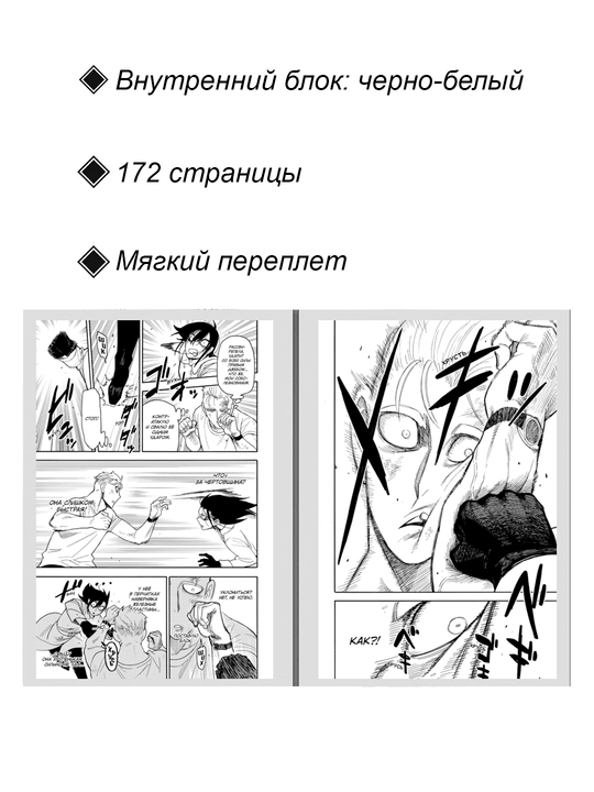 Semya shpiona. Tom 13. Manga Endo Tatsuya