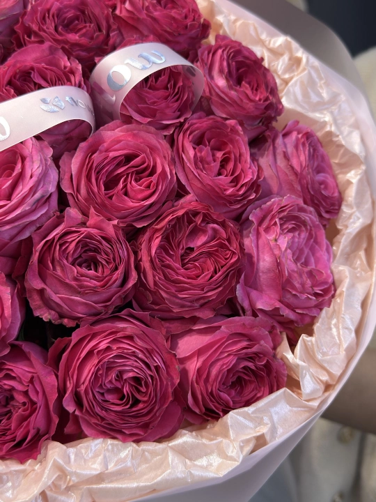 All for Love pion atirgullari