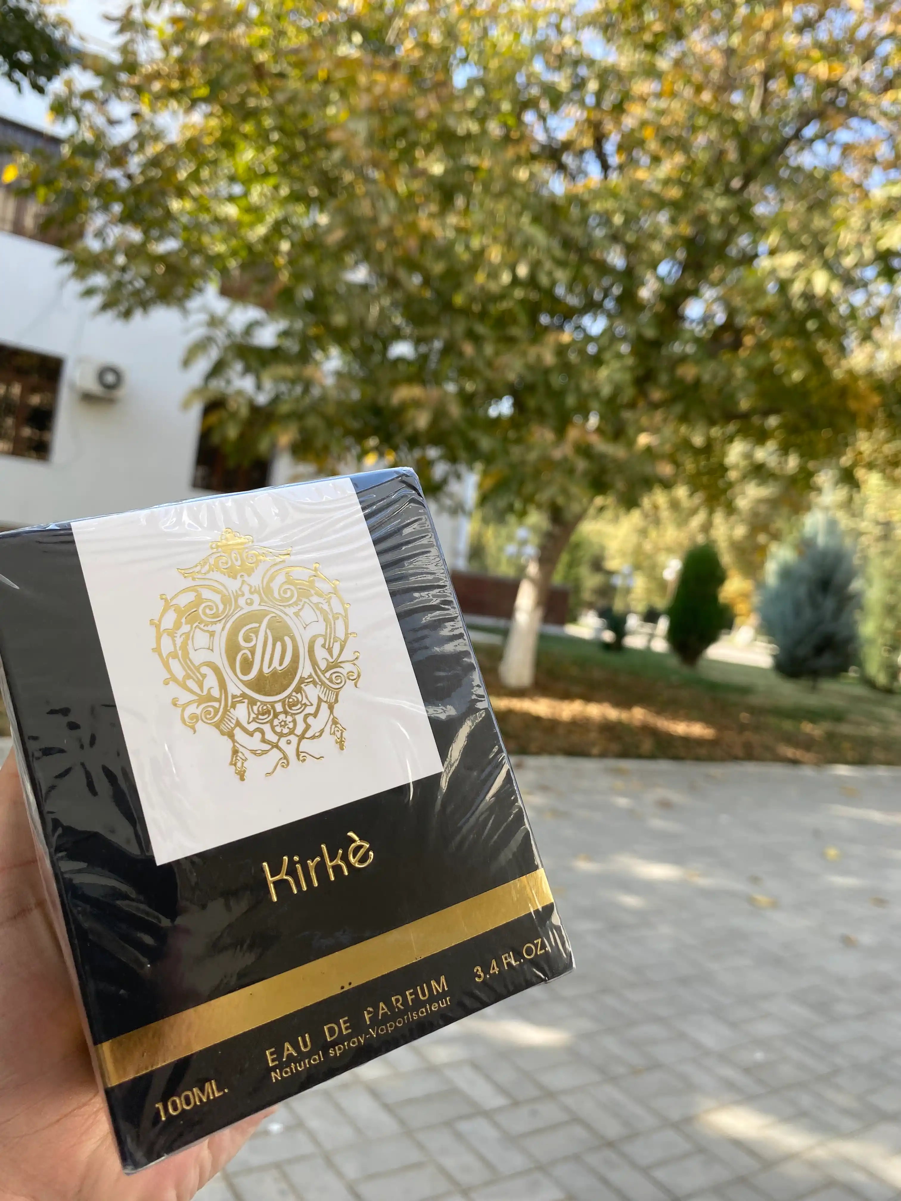 Парфюмерная вода Kirke Tiziana Terenzi, унисекс, 100 мл