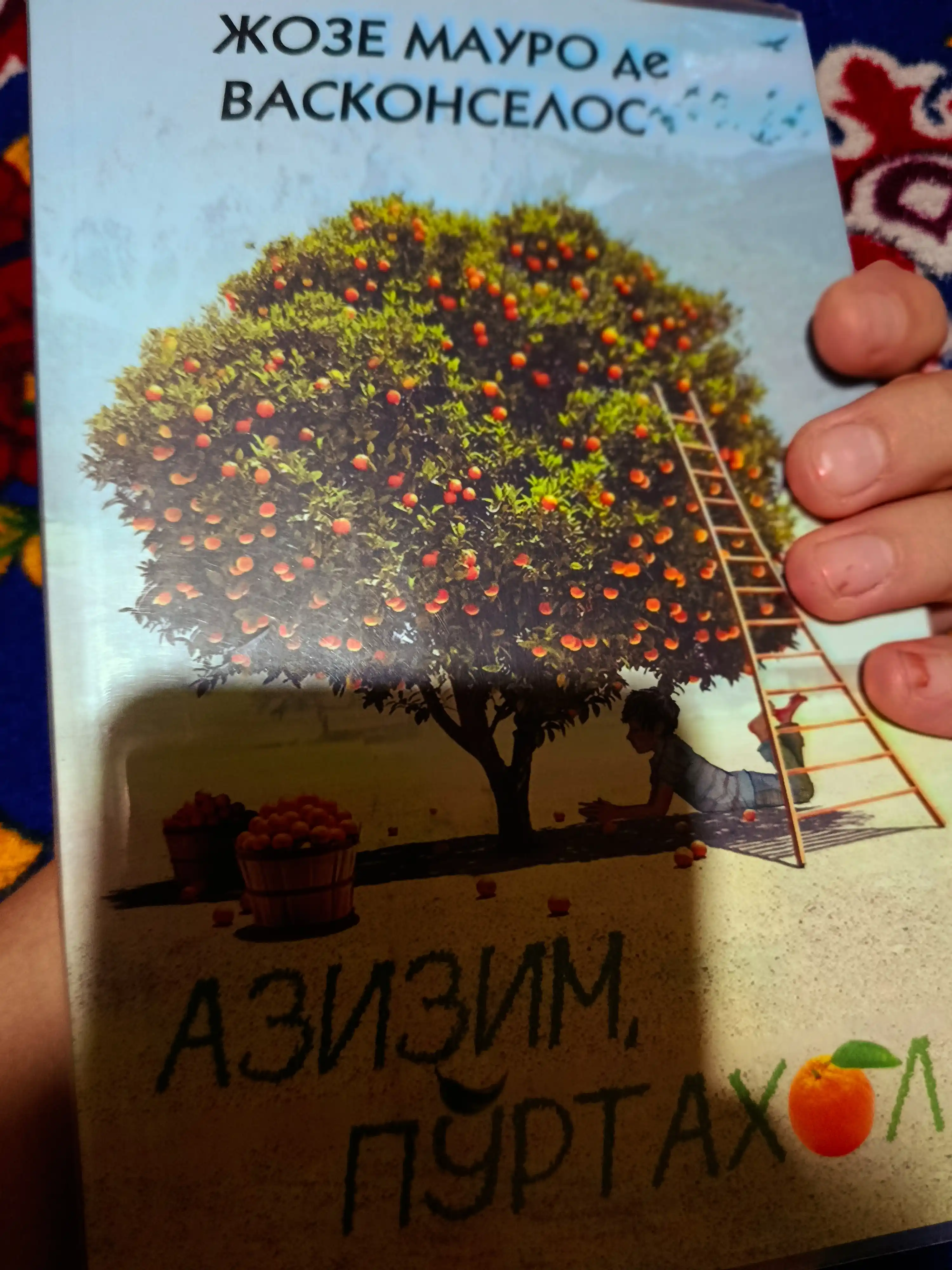 Жозе Мауро де Васконселос, Азизим, пўртахол