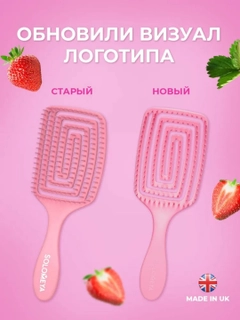 Pudra rang