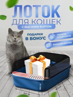 Темно-синий