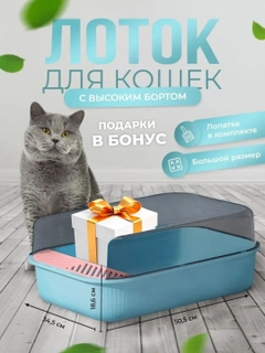 Голубой