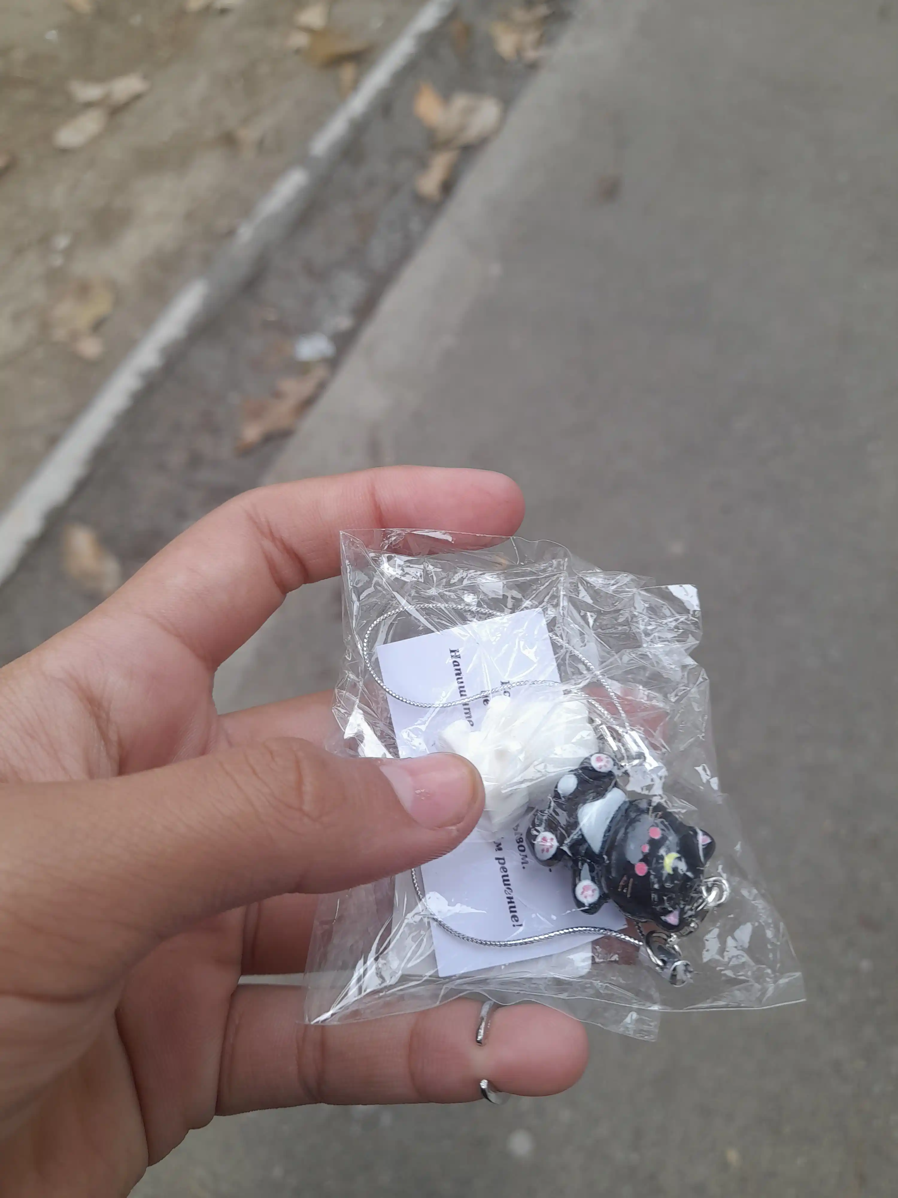 Juft kalit ilgichlari Mushukchalar, telefon, ryukzak va kalitlar uchun, 2 dona