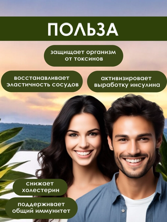 Nutraxin Ginkgo Biloba 120 мг, улучшает память и работу мозга, борется с депрессией