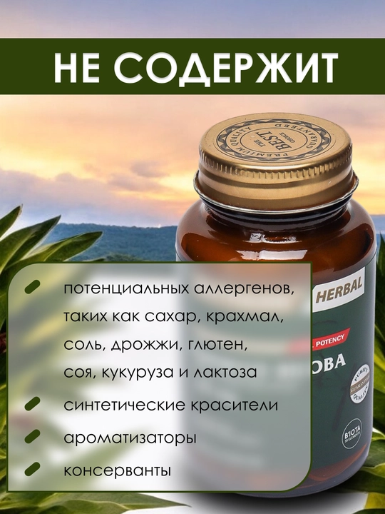 Nutraxin Ginkgo Biloba 120 мг, улучшает память и работу мозга, борется с депрессией