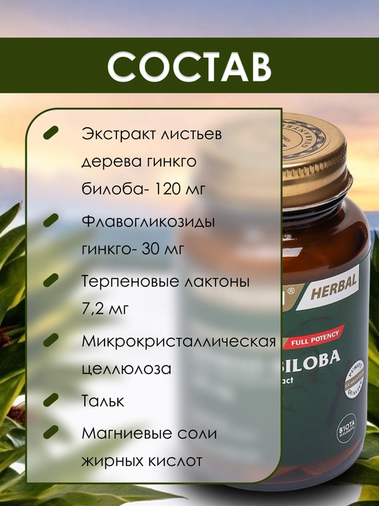 Nutraxin Ginkgo Biloba 120 мг, улучшает память и работу мозга, борется с депрессией