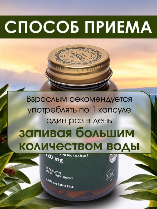 Nutraxin Ginkgo Biloba 120 мг, улучшает память и работу мозга, борется с депрессией