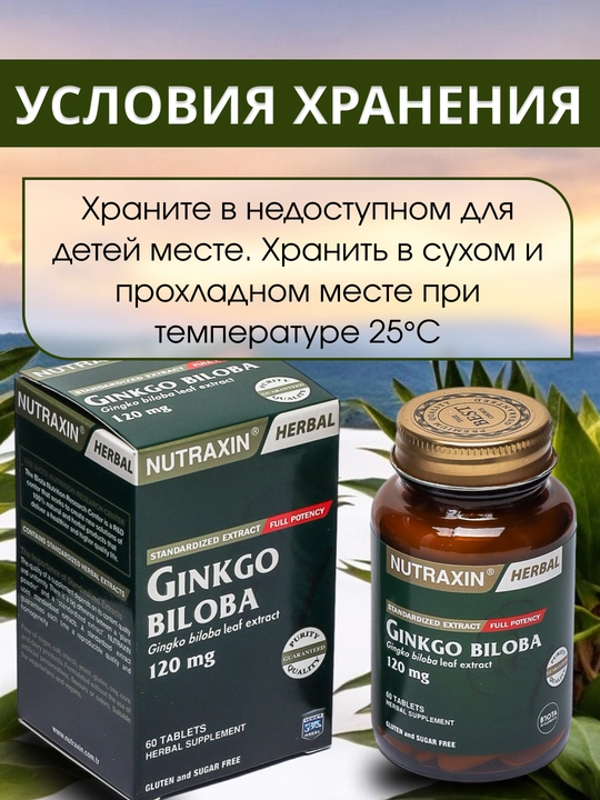 Nutraxin Ginkgo Biloba 120 мг, улучшает память и работу мозга, борется с депрессией