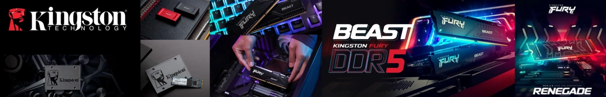 Kingston Technology