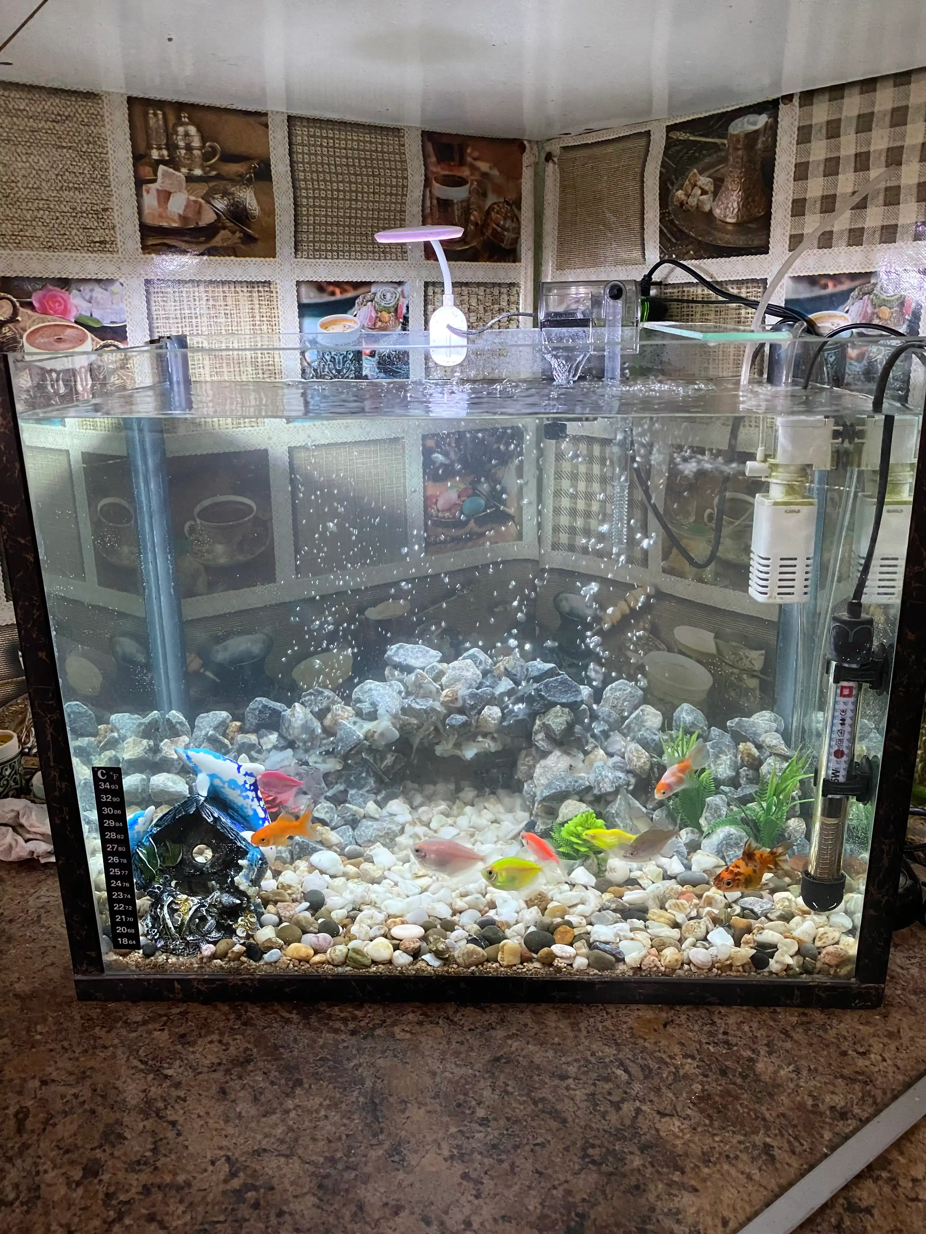 Akvarium uchun o'rnatilgan tashqi filtr Xilong XL-850, favvora filtri