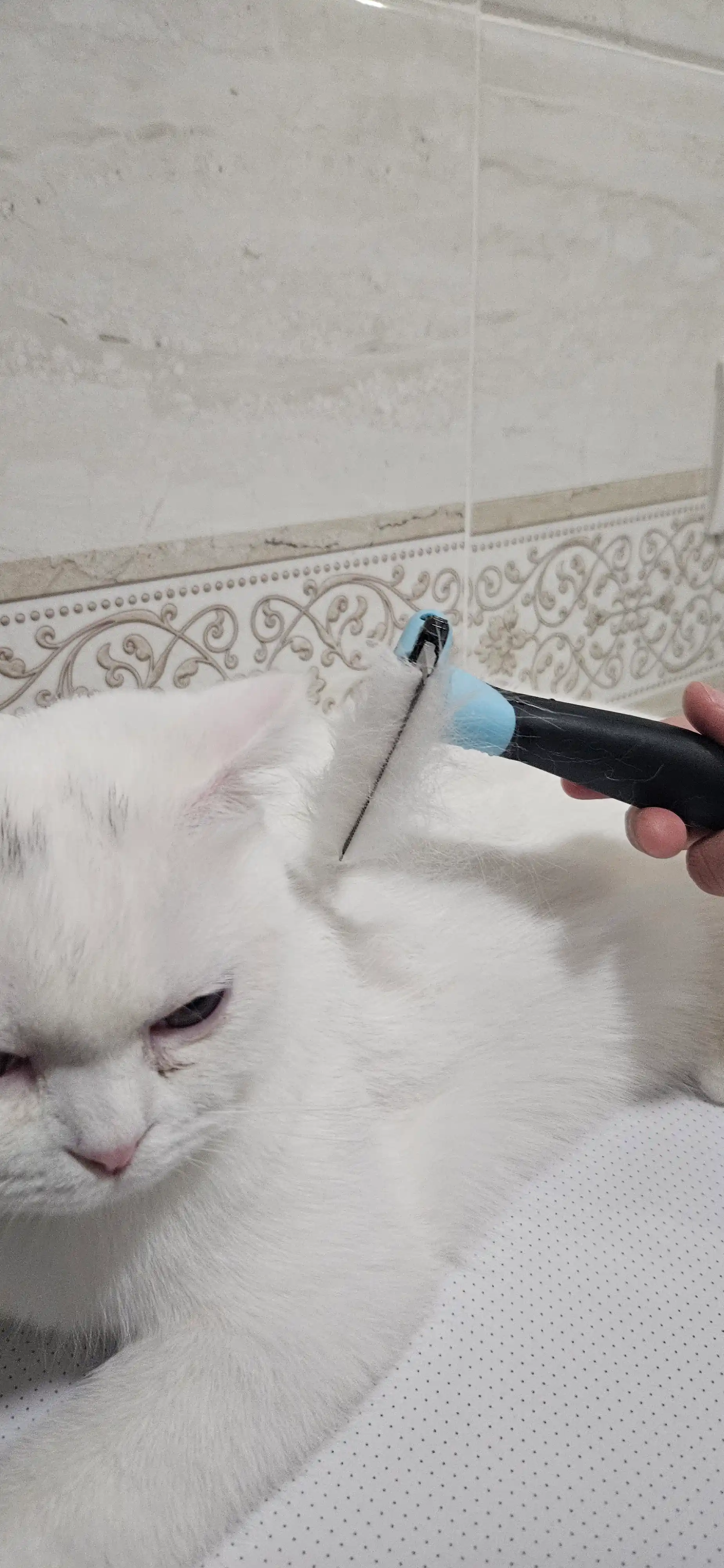 3 v 1 jun tozalagich tugun kesuvchi, mushuk va itlar juniga parvarish uchun cho‘tka taroq