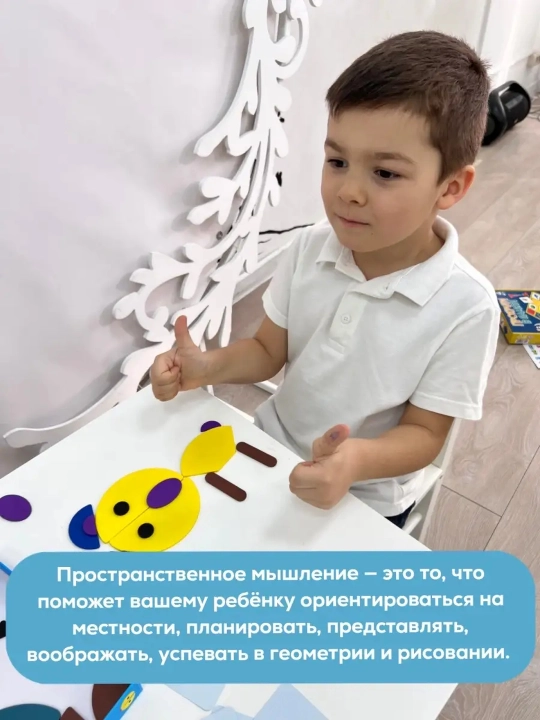 Montessori hayvonlar uchun jumboqlari, ijodiy fikrlashni rivojlantirish/ta'limiy o'yin