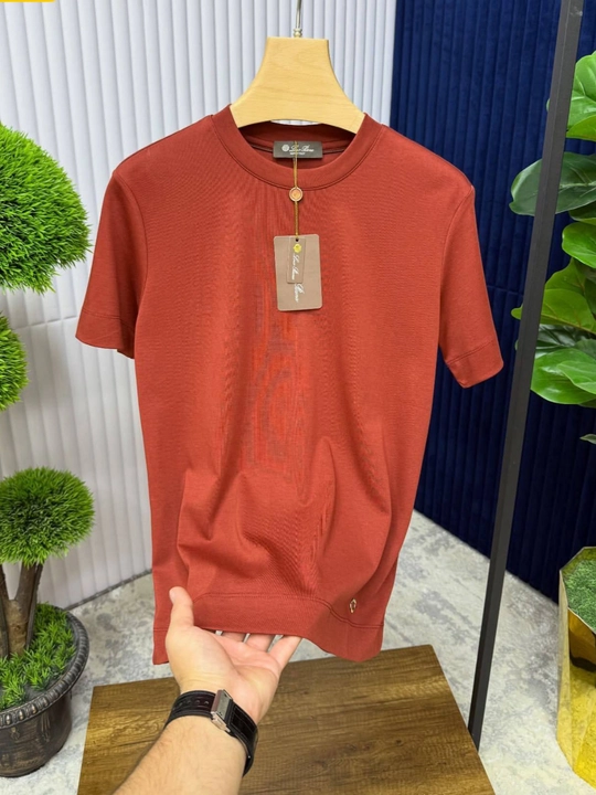 Мужская базовая футболка Loro Piana, однотонная, качество, размеры M–XXL - 