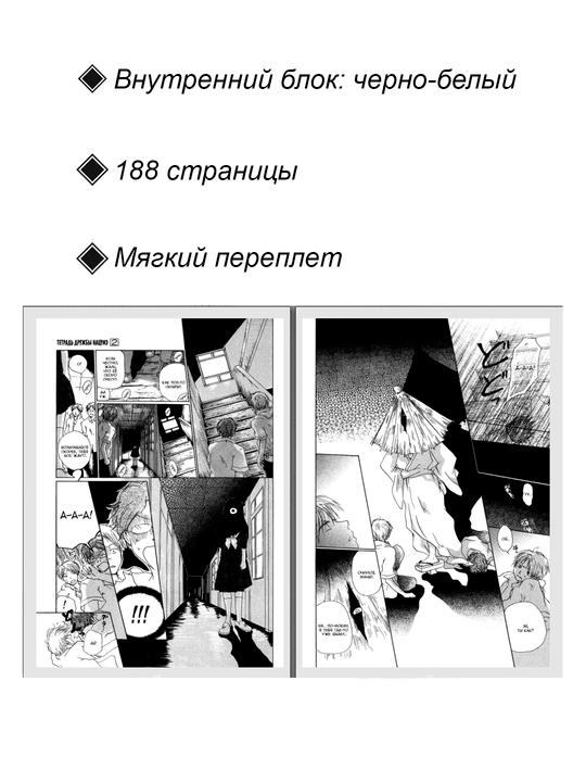 Манга, Тетрадь дружбы Нацумэ 2 том