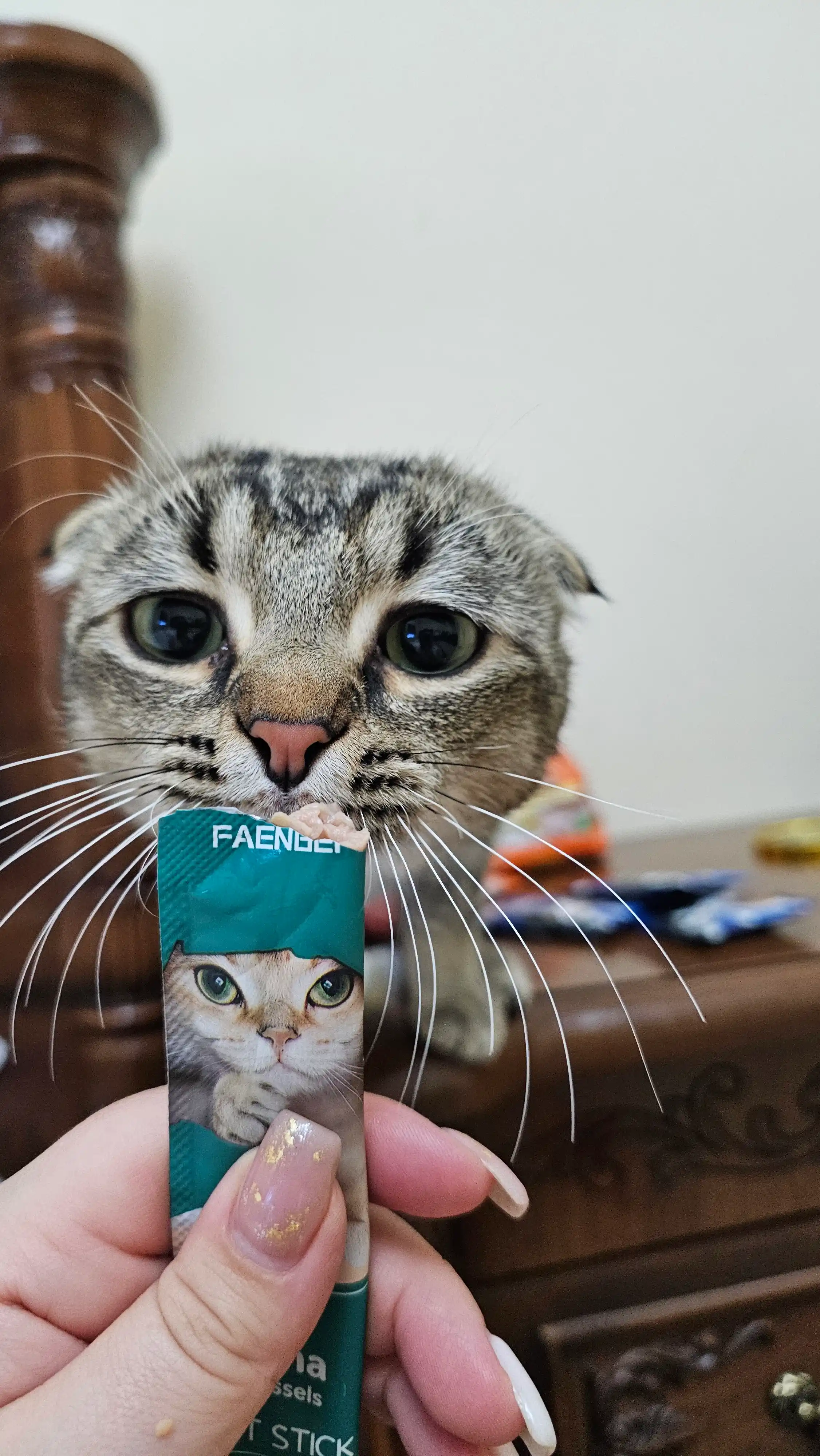 Лакомство для кошек Faenbei "Pet Snaks", ассорти из 3 вкусов