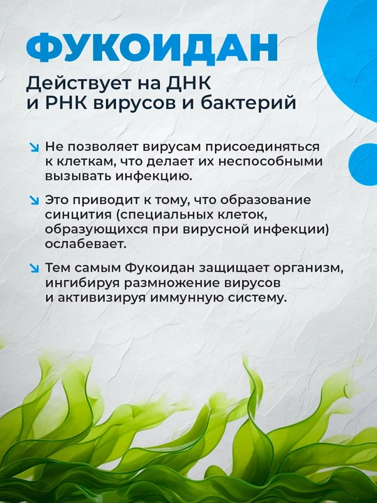 Immunostimul, 0.2 gr dan 20 ta kapsula 