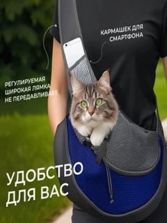 Лазурный