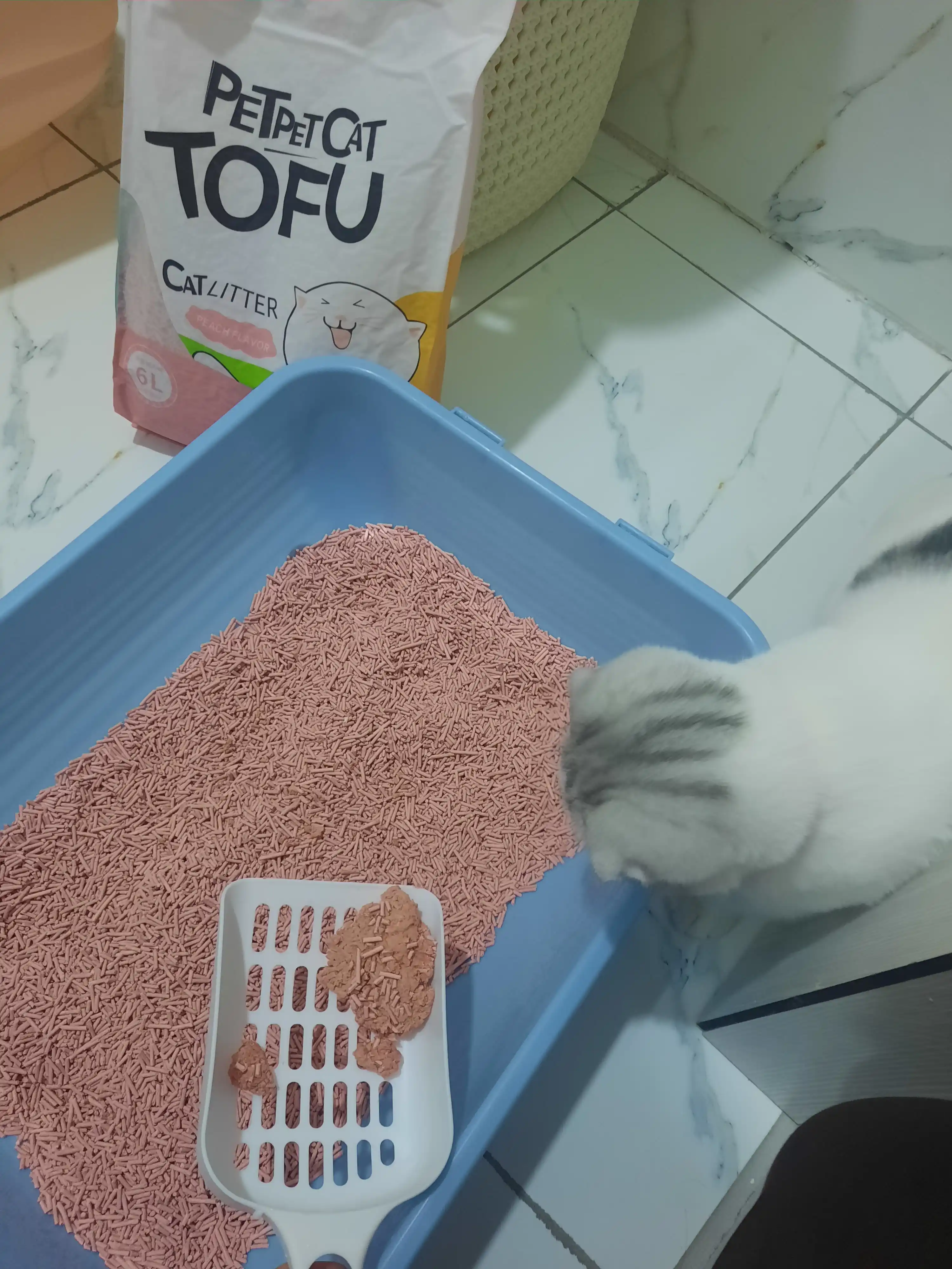Soyali to‘ldiruvchi, mushuklar uchun, 6 litr, tabiiy, hojatxonaga yuviladi