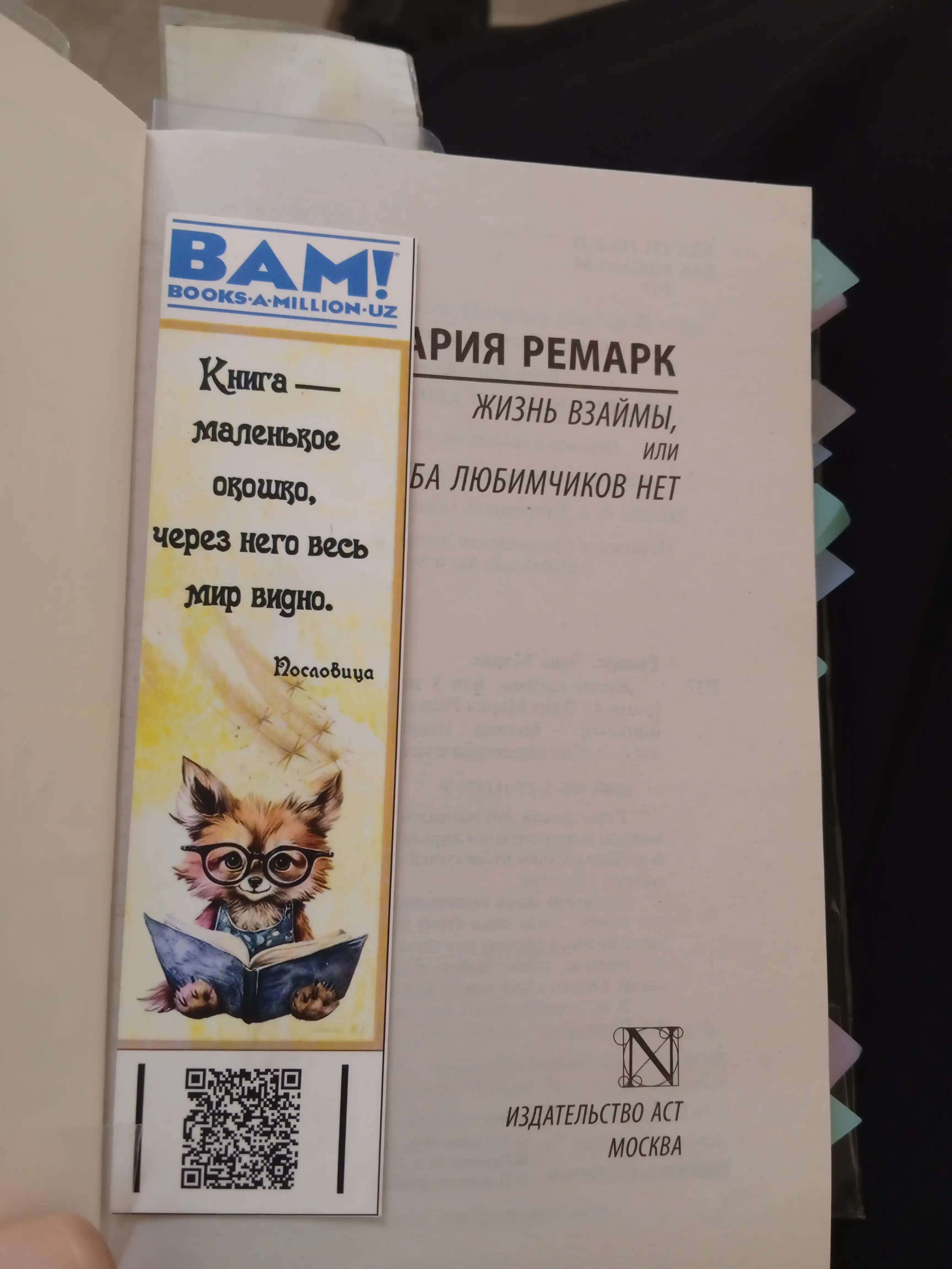 Жизнь взаймы, или у неба любимчиков нет, Эрих Мария Ремарк