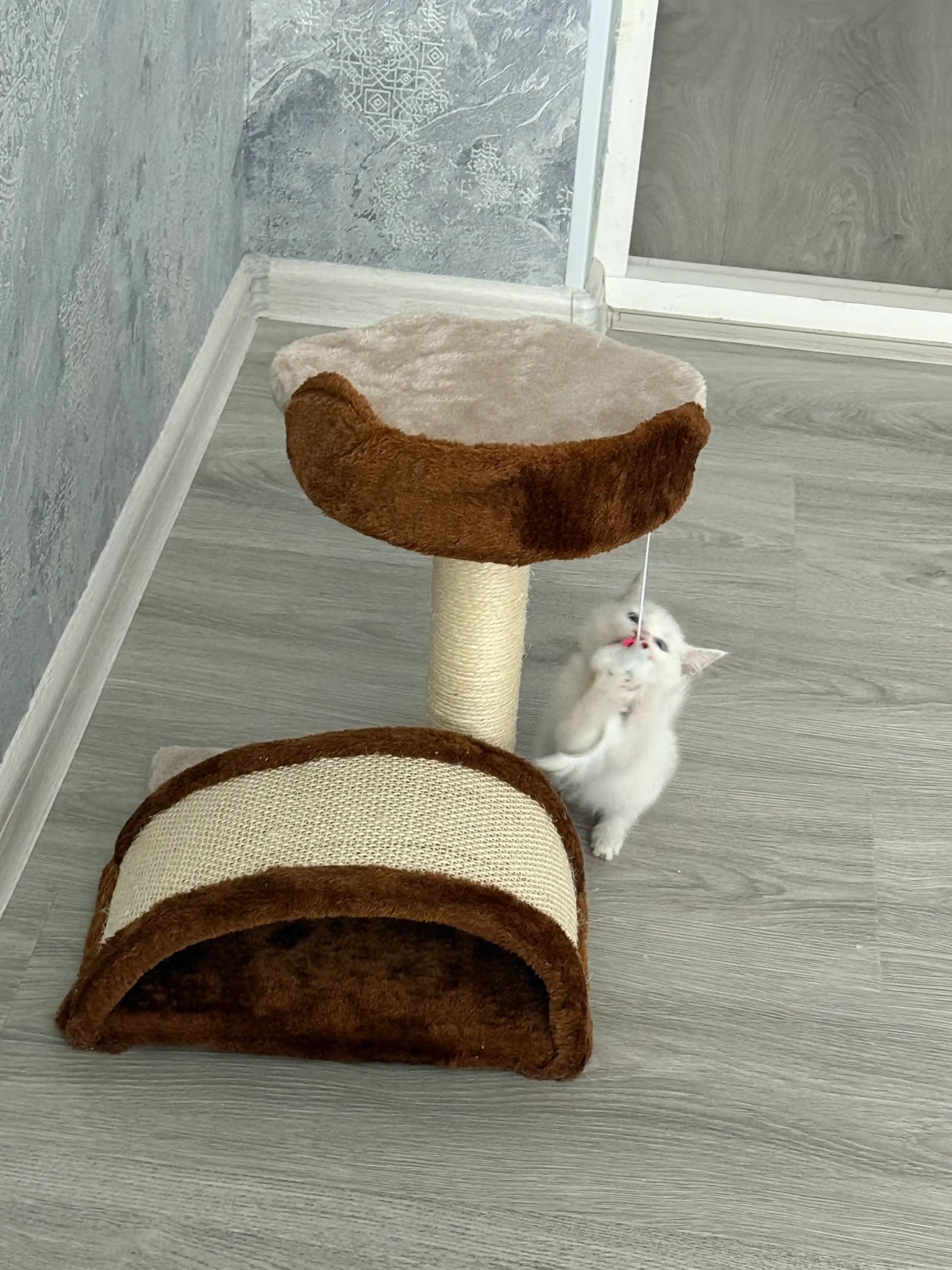 Когтеточка для кошек, с платформой для игр и лежанкой, с игрушкой, 42*32