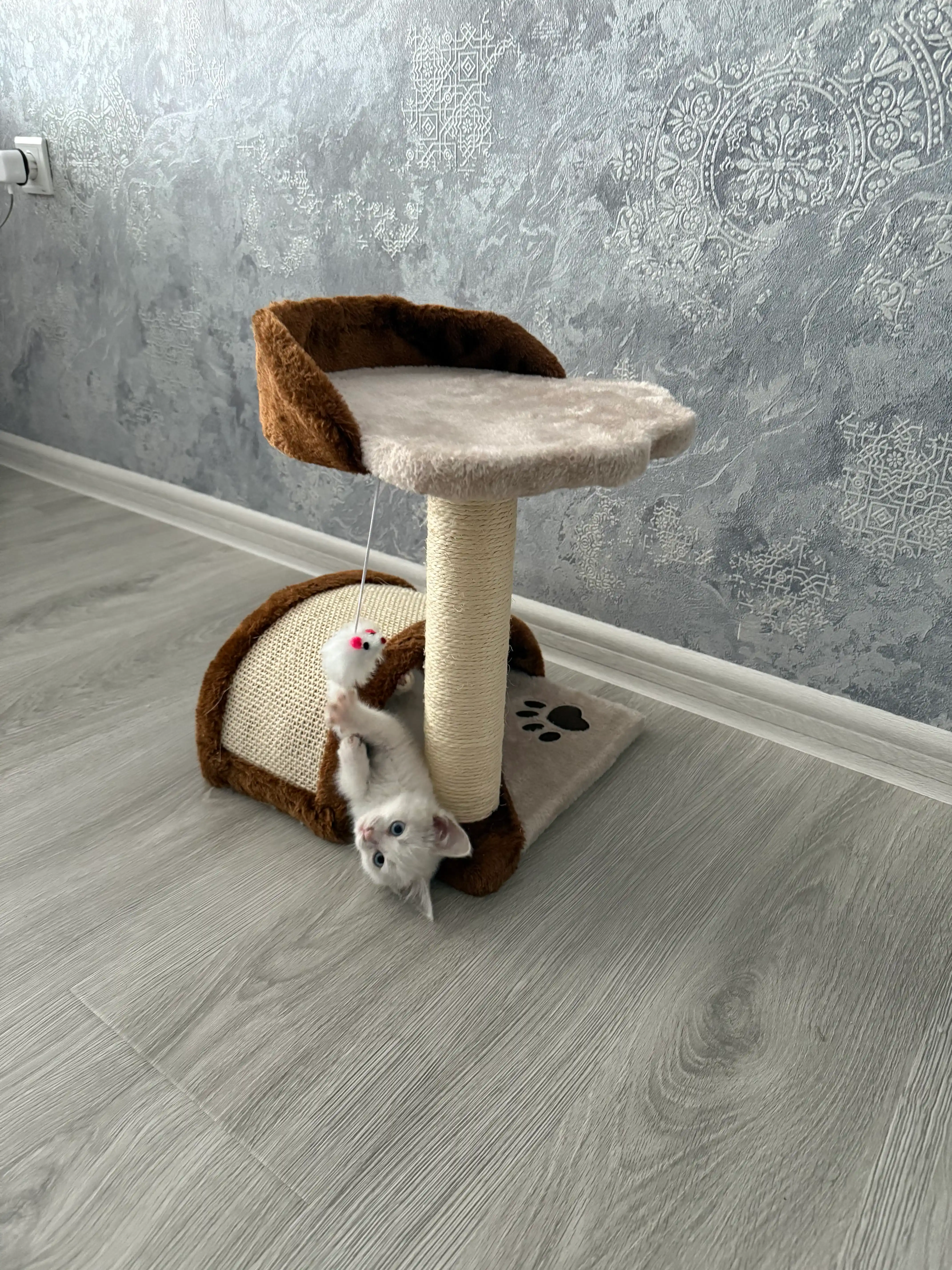 Когтеточка для кошек, с платформой для игр и лежанкой, с игрушкой, 42*32