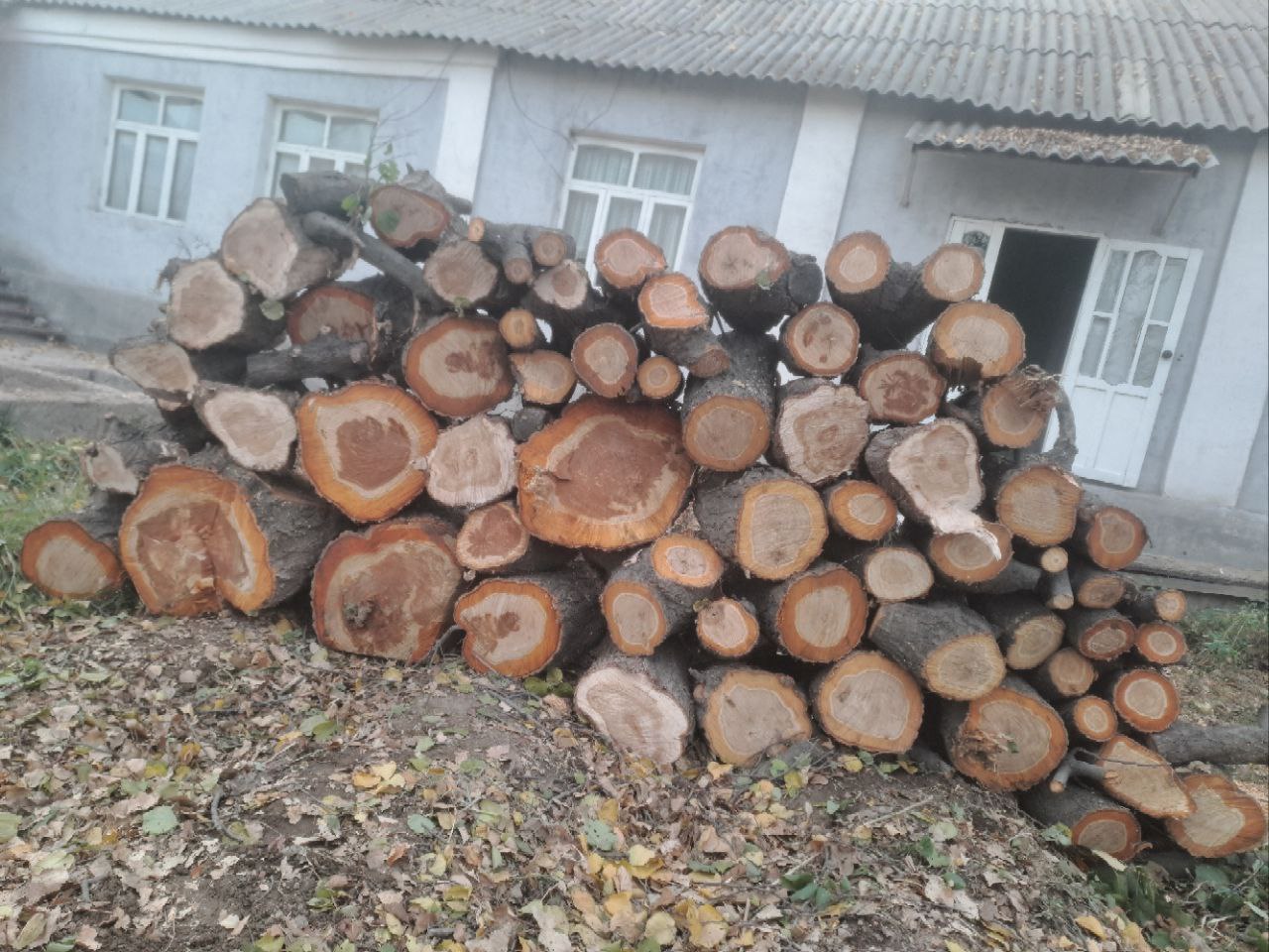 Elektr zanjirli arra, 220 V ubay