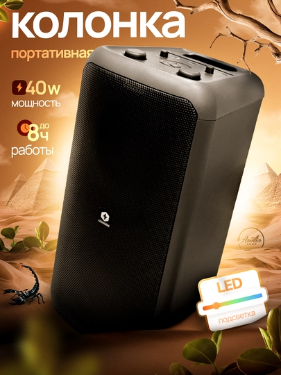 Портативная колонка Aqua Marine 929