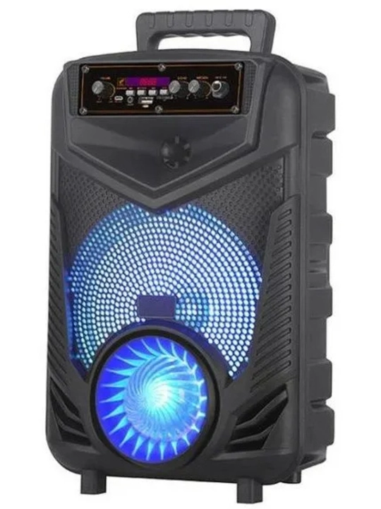 NDR-P44 / P55VA / P66 – портативная Bluetooth колонка с микрофоном и LED подсветкой - 