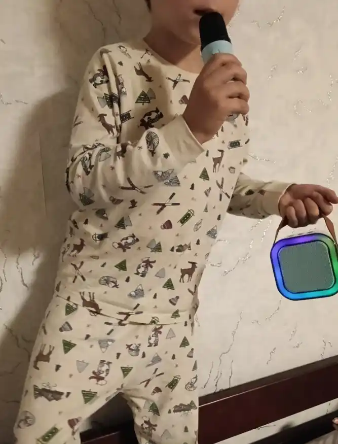 Mikrofonli simsiz Bluetooth karaoke karnaychasi