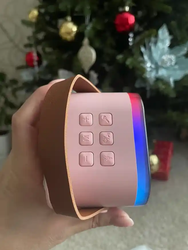 Mikrofonli simsiz Bluetooth karaoke karnaychasi