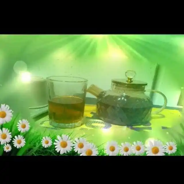 Issiqlikka chidamli shishadan, prujina elakli shisha choynak