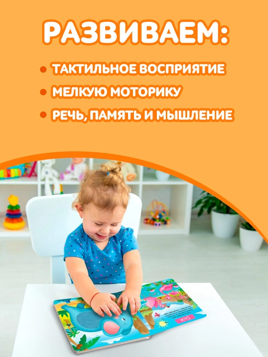 "Meni silash" taktil kitobi, 12 bet, 6 ta qo'shimchalar