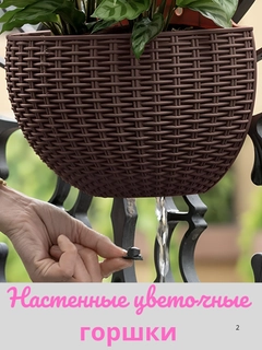 Шоколадный