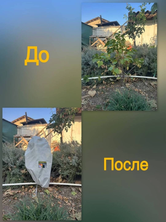 Ustama materiali, butalar va daraxtlar uchun qoplar qish va yozga, agroto‘qima