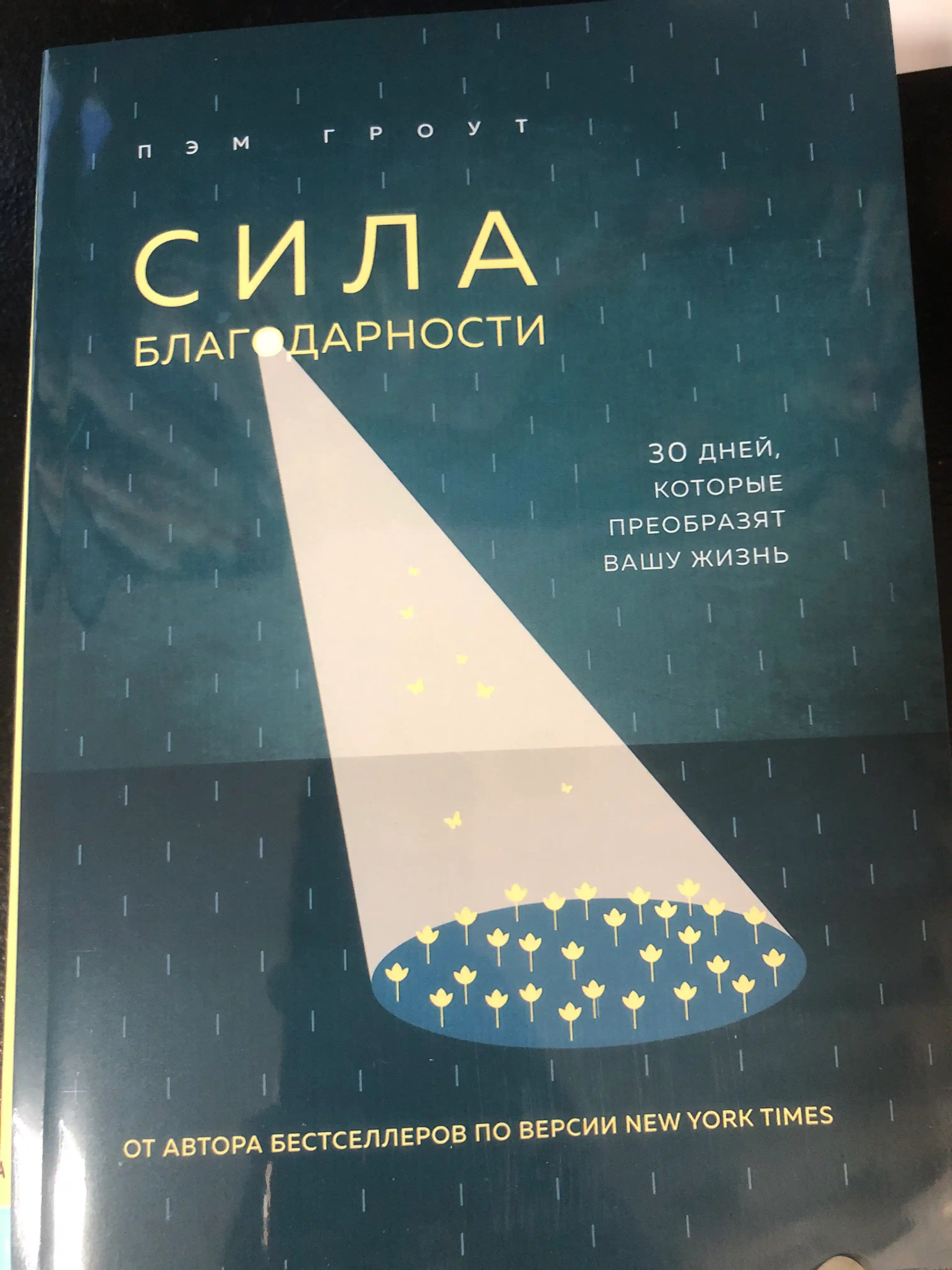Сила благодарности. 30 дней, которые преобразят вашу жизнь
