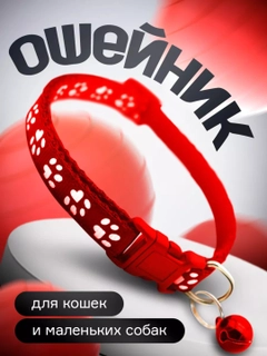Оранжевый