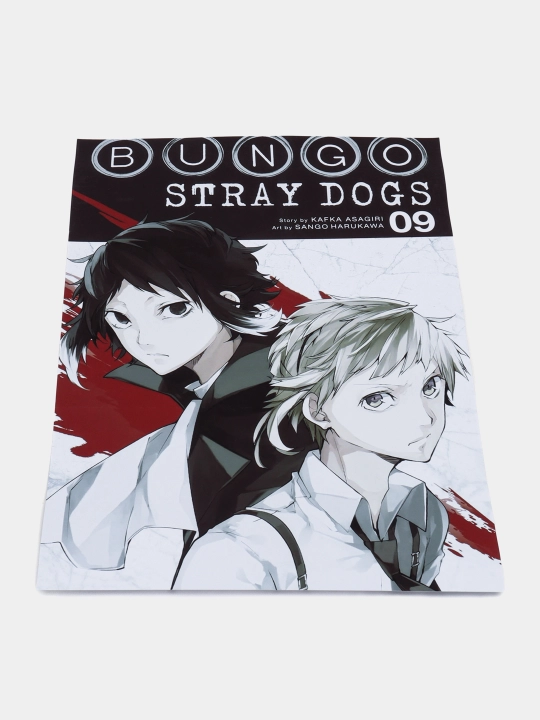Ichki Anime afishalari adashgan itlar Nasri, A3 plakat, plakat - 