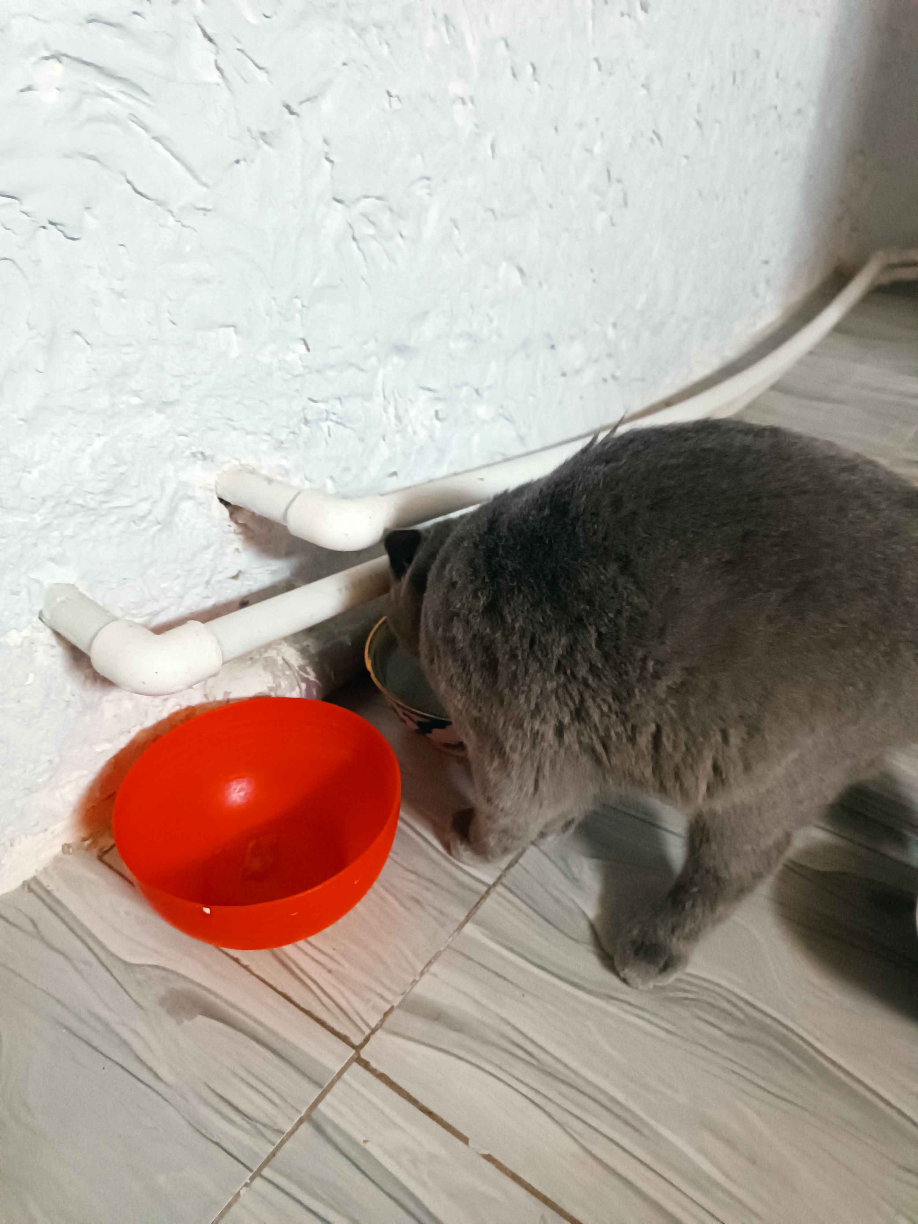 Ufada tezlik uchun jinsiy aloqa