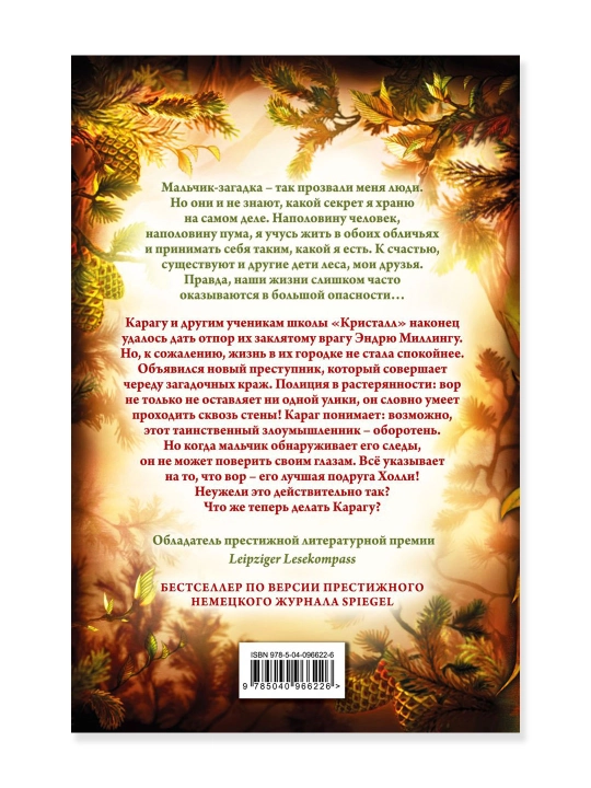 Дети леса. Тайна Холли (#3). Брандис К.