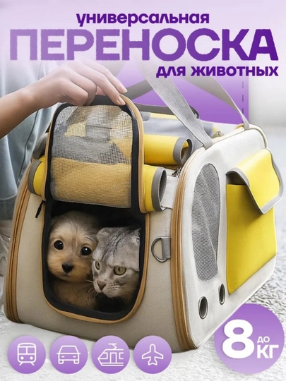 Животные выходят на улицу, чтобы нести сумку с кошками и собаками