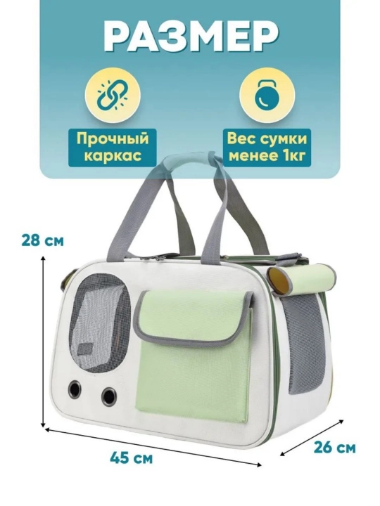 Животные выходят на улицу, чтобы нести сумку с кошками и собаками