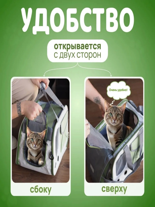 Собака выходит из дома с рюкзаком кошки, который находится в пределах 8 кг