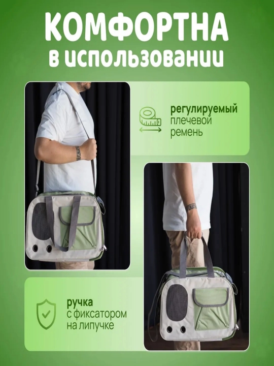 Собака выходит из дома с рюкзаком кошки, который находится в пределах 8 кг