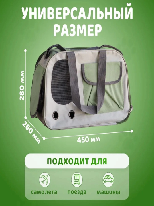 Собака выходит из дома с рюкзаком кошки, который находится в пределах 8 кг
