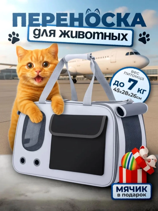 Собака выходит из дома с рюкзаком кошки, который находится в пределах 8 кг - 