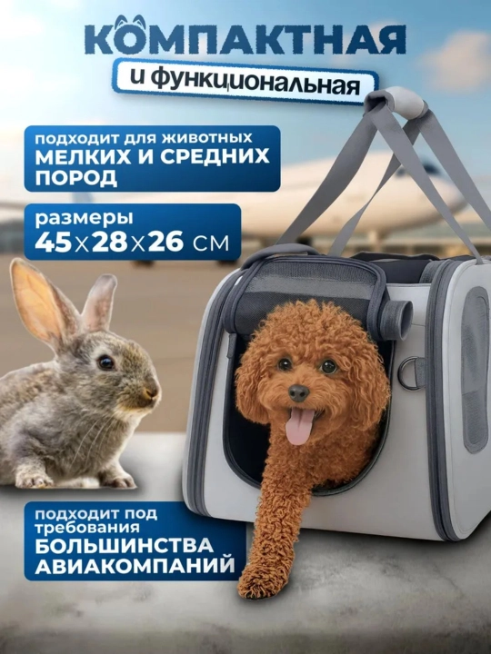 Собака выходит из дома с рюкзаком кошки, который находится в пределах 8 кг
