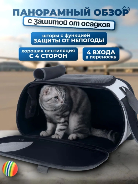 Собака выходит из дома с рюкзаком кошки, который находится в пределах 8 кг